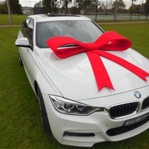 Big Red Velvet Bow for Car